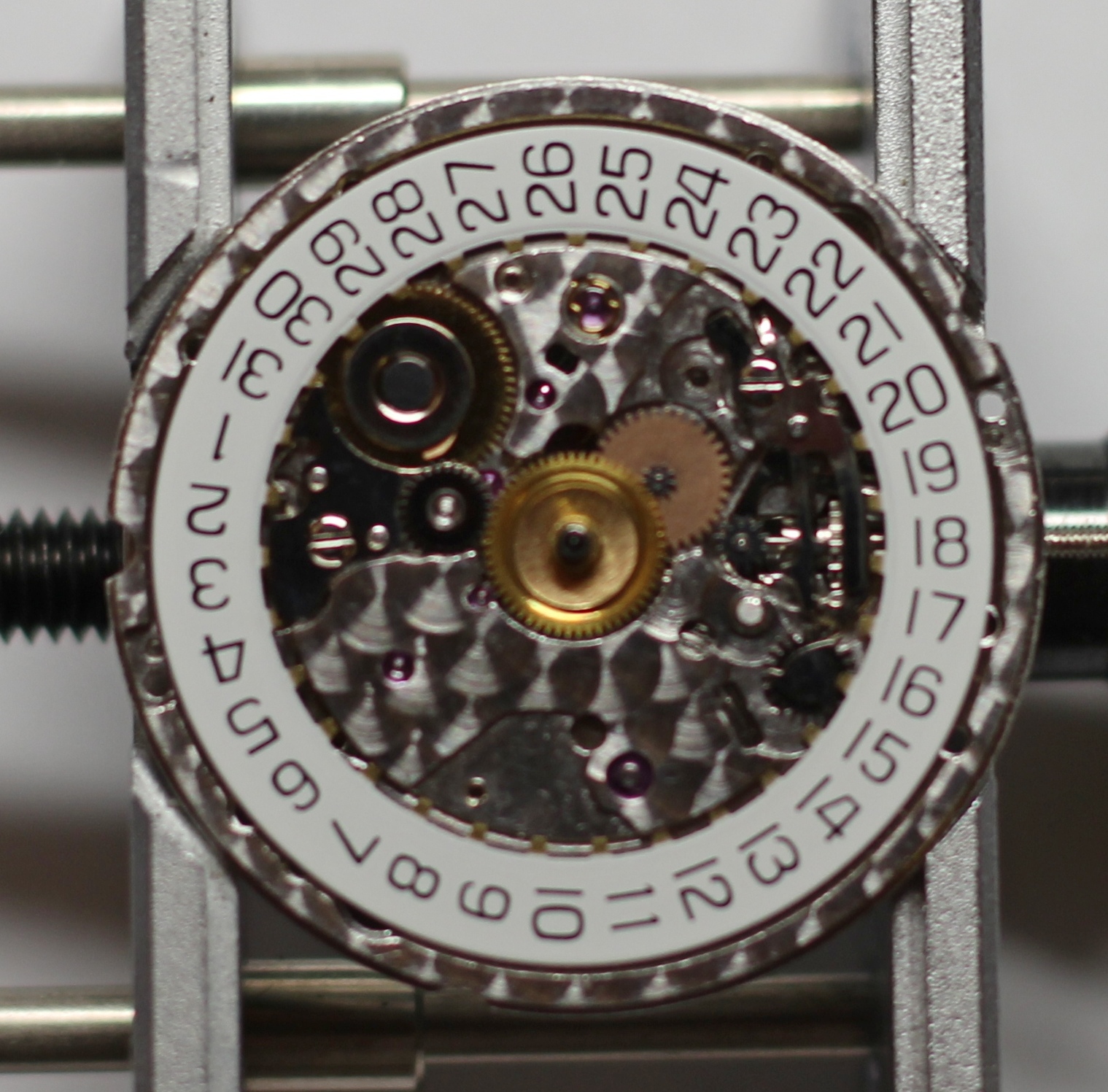 online horology course